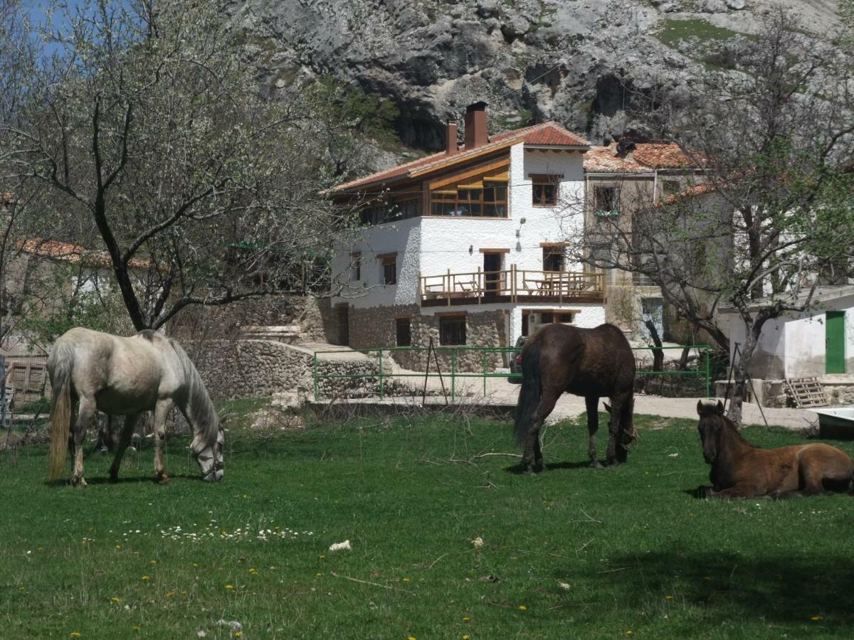 Casas Rurales El Nacimiento Pontones  Esterno foto